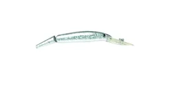 P-Line Predator Deep Diving