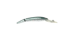 P-Line Predator Deep Diving