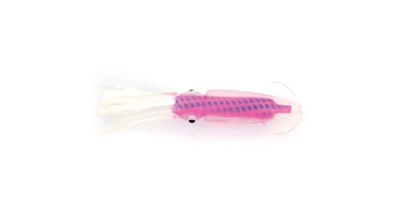 P-Line Rock Cod Rig