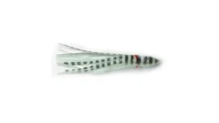 P-Line Sunrise Squid