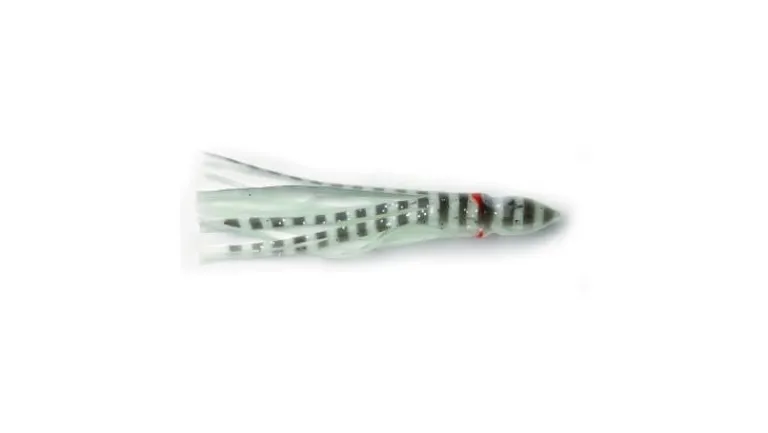 P-Line Sunrise Squid