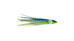 P-Line Sunrise Squid