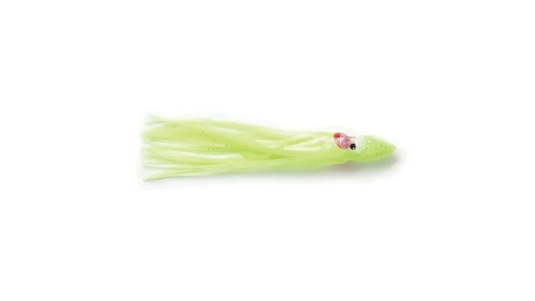 P-Line Sunrise Squid