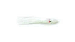 P-Line Sunrise Squid