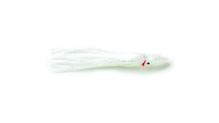 P-Line Sunrise Squid