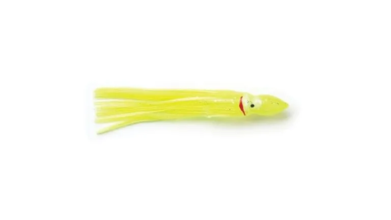 P-Line Sunrise Squid