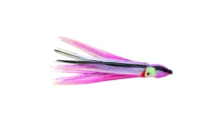 P-Line Sunrise Squid