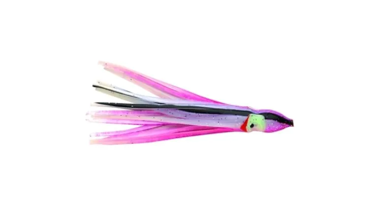 P-Line Sunrise Squid
