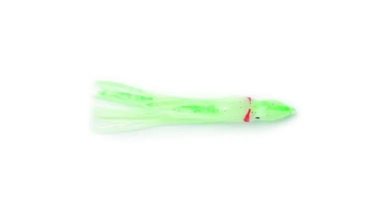 P-Line Sunrise Squid