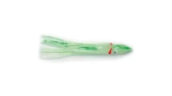 P-Line Sunrise Squid