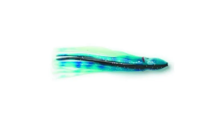 P-Line Sunrise Squid