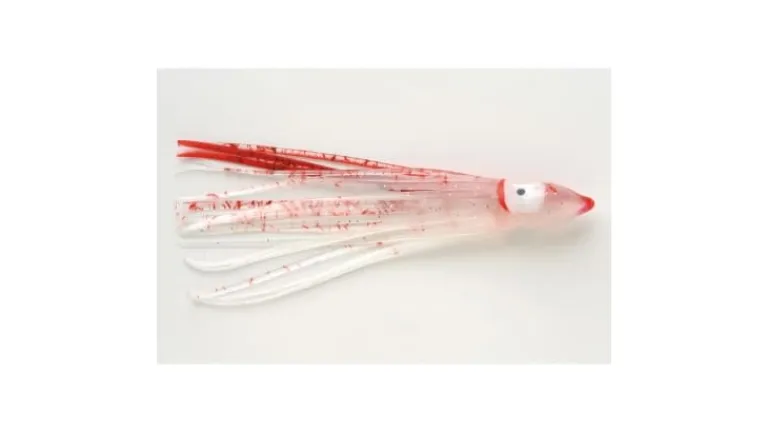 P-Line Sunrise Squid
