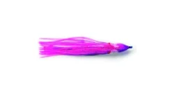 P-Line Sunrise Squid