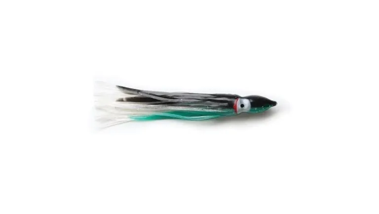P-Line Sunrise Squid