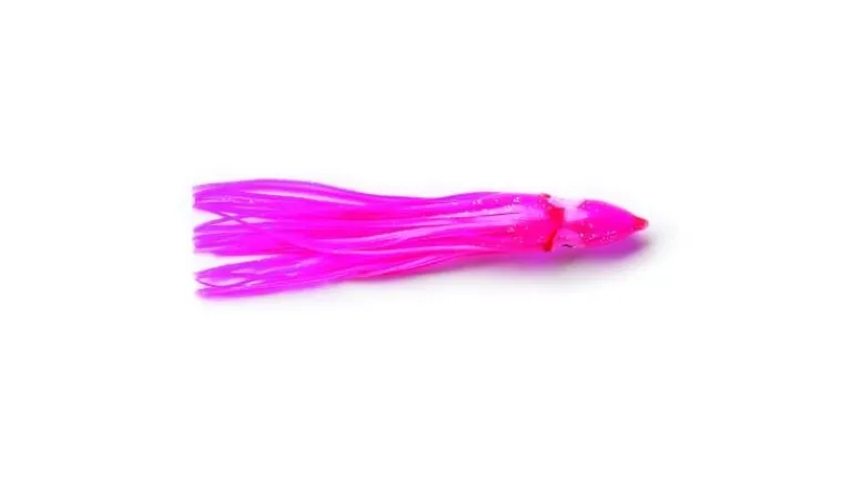 P-Line Sunrise Squid