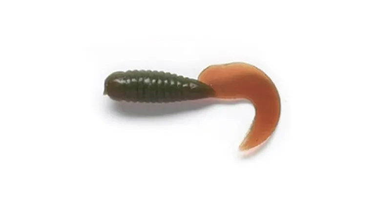 Pucci Grub
