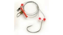 Pucci Sturgeon Rig Barbless