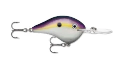 Rapala DT Series Crankbaits