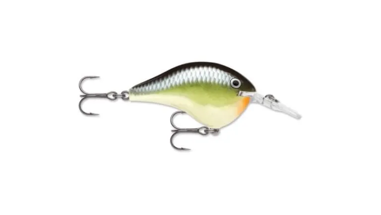 Rapala DT Series Crankbaits