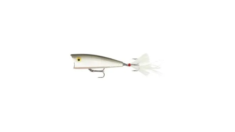 Rebel Original Pop R