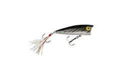 Rebel Pop R P71