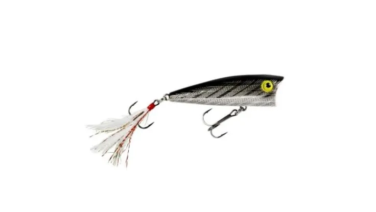 Rebel Pop R P71