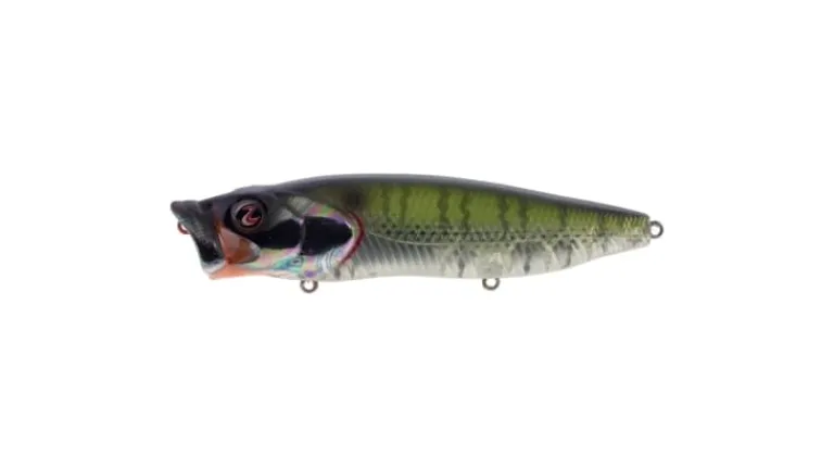 River2Sea Bubble Walkers