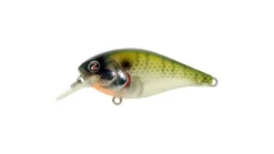 River2Sea Ish Monroe Biggie Poppa Crankbait