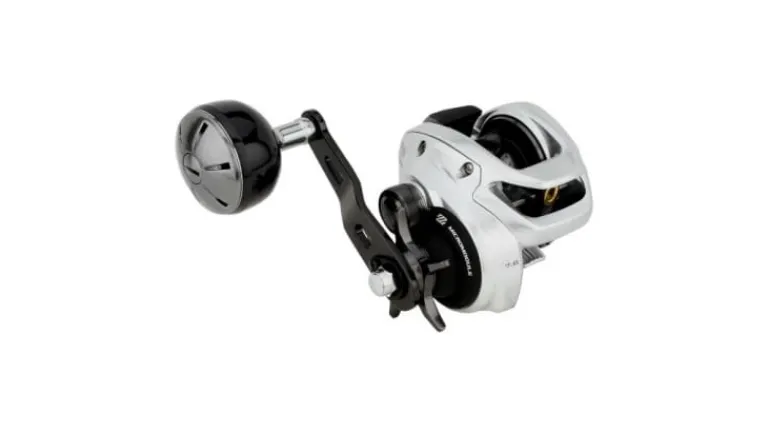 Shimano Tranx 300 B Low Profile Casting Reels