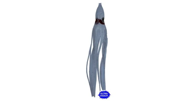 Silver Horde Octopus Squid