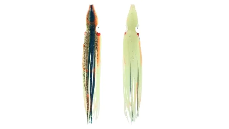Silver Horde Octopus Squid