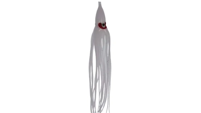 Silver Horde Octopus Squid
