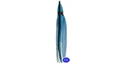 Silver Horde Octopus Squid