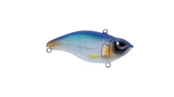 Spro Aruku Shad