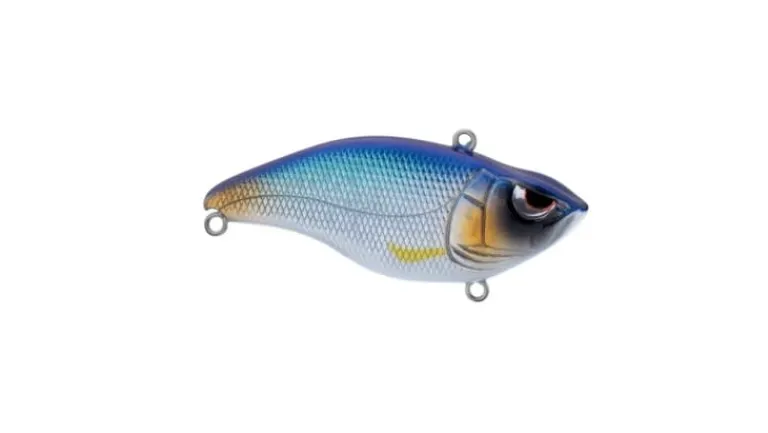 Spro Aruku Shad