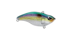 Spro Aruku Shad