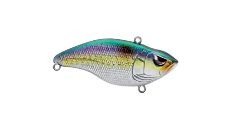 Spro Aruku Shad