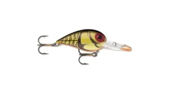 Storm Original Wiggle Wart