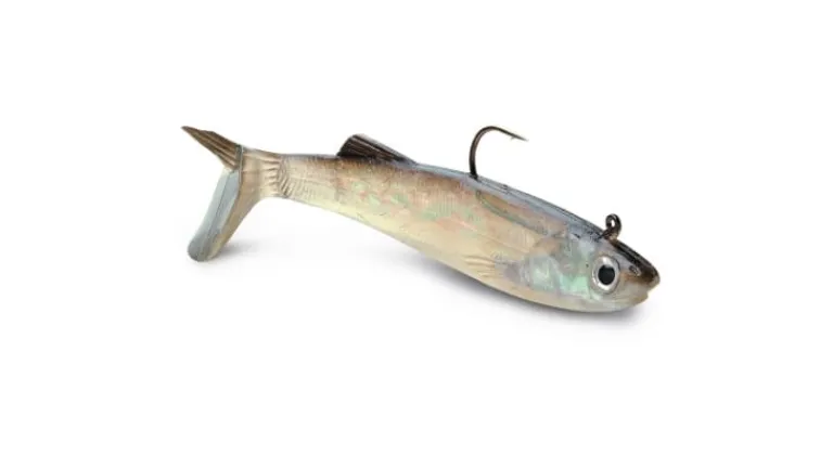 Storm Wildeye Live Anchovy