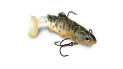Storm Wildeye Live Brook Trout