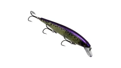 Strike King Kvd Elite 300 Jerkbait