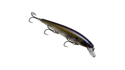 Strike King Kvd Elite 300 Jerkbait