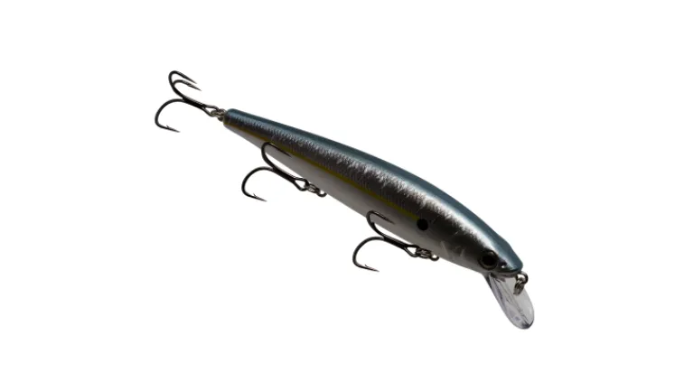 Strike King Kvd Elite 300 Jerkbait