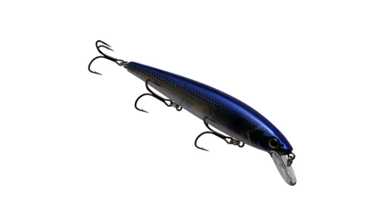 Strike King Kvd Elite 300 Jerkbait