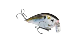 Strike King KVD 2.5 Wake Bait