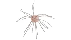 Strike King Tumbleweed Floating