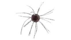 Strike King Tumbleweed Floating