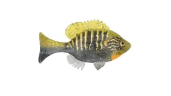 Sudden Impact Baits Sudden Impact Suzygill Bluegill Lil Gill