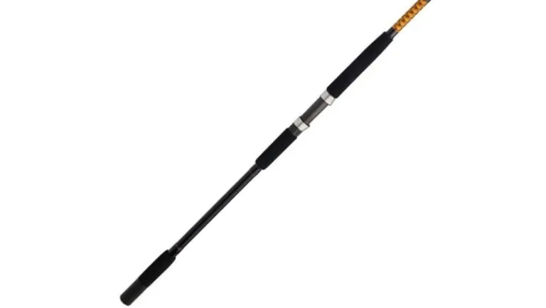 Ugly Stik Bigwater Spinning Rod