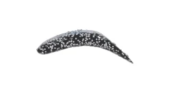Worden's Flatfish F7